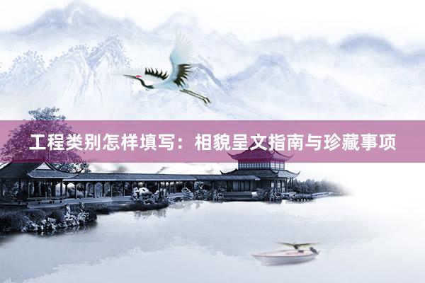 工程类别怎样填写：相貌呈文指南与珍藏事项